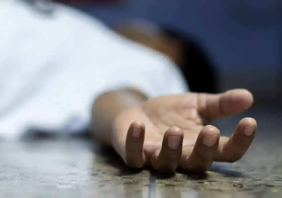 منگلورو : کتوں کے کاٹنے سے ہوئی تھی معمر شخص کی موت - پوسٹ مارٹم رپورٹ کا خلاصہ